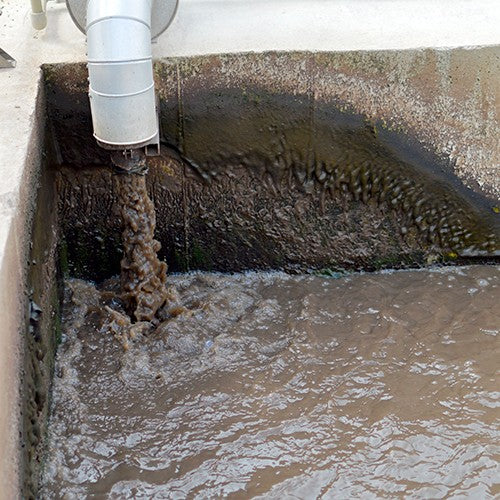 BOMBA INOXIDABLE PARA LODOS TRIFÁSICA 5.0HP 220V - SV3ME0500G-I