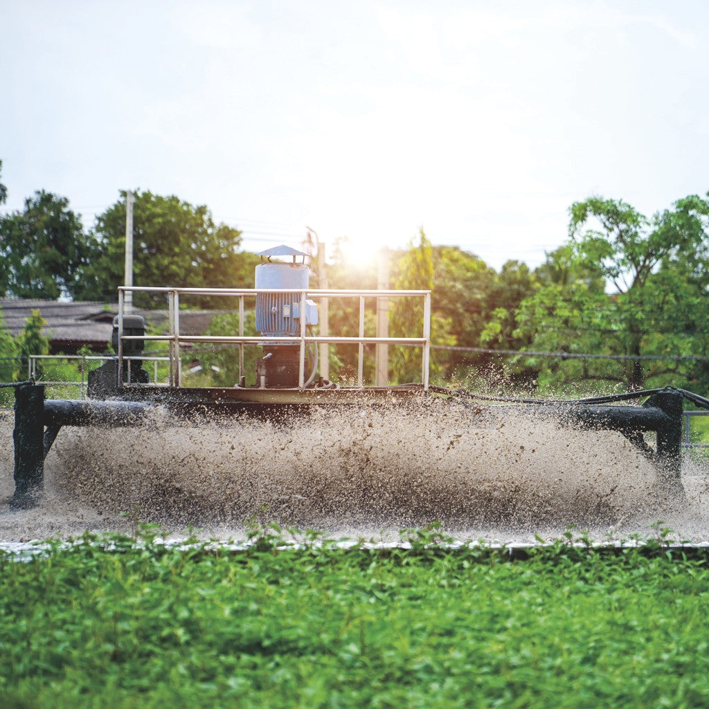 BOMBA PARA LODOS 10.0HP 3F 220V - SV4ME1000G