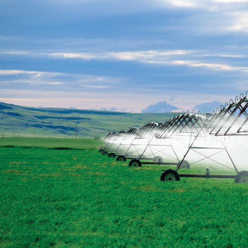 BOMBA SEMI-PROFESIONAL 2HP 1.50X1.25 - 5HME0200A