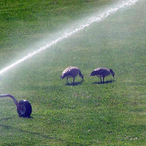 BOMBA SEMI-PROFESIONAL 2HP 1.50X1.25 - 5HME0200A