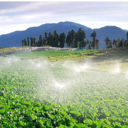 BOMBA SEMI-PROFESIONAL 2HP 1.5X1.25 - 5HME200