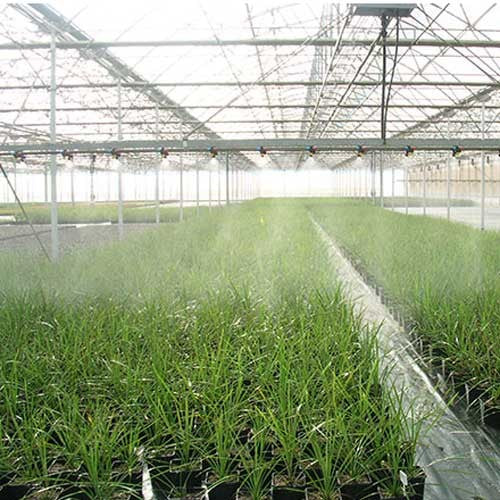 BOMBA SEMI-PROFESIONAL 3HP 2.00X1.50 - 6HME0300