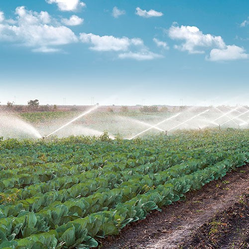 EQ RIEGO CENTRIFUGO 16HP 3X3 - 7IMG1600THAE