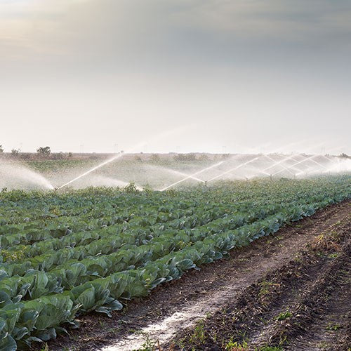 ASPERSOR DE RIEGO 2.0" - AB-CR200