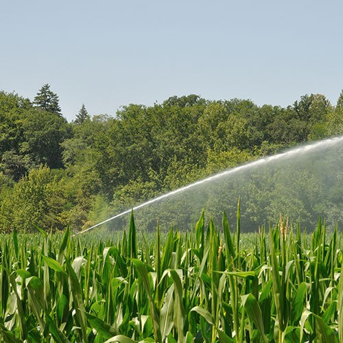 ASPERSOR DE RIEGO 2.5" - AB-CR250