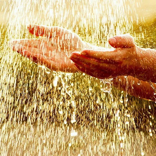 MANGUERA CON VÁVULA DE PIE 1" 4MTS - AB-MSVP4