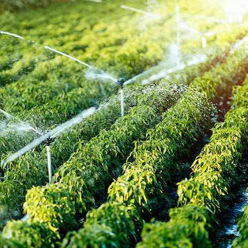 EQ RIEGO AUTOCEBANTE AL 1.8HP - AC1AG41