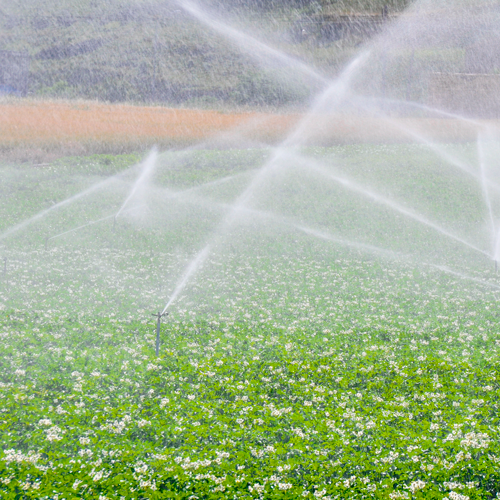 EQ RIEGO AUTOCEBANTE AL 2.0HP - AC1.5AG52