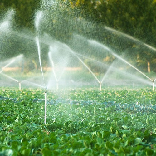 EQ RIEGO AUTOCEBANTE AL 2.0HP - AC1.5AG53-4T