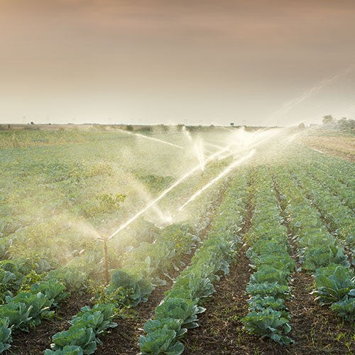 EQ RIEGO AUTOCEBANTE AL 7.5HP - AC2AMG0750TH