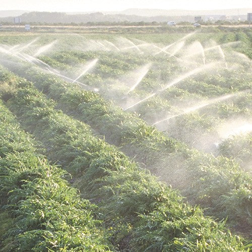 EQ RIEGO AUTOCEBANTE 2X2 6.5HP - AC2MG0650BS