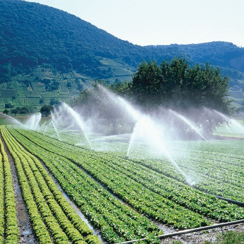 EQ RIEGO AUTOCEBANTE 7.5HP 2X2 - AC2MG0750TH