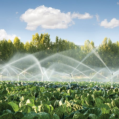 EQ RIEGO AUTOCEBANTE 9.0HP 3X3 - AC3MG0900TH