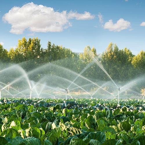 EQ RIEGO AUTOCEBANTE 12HP 4X4 - AC4MD1200THAE