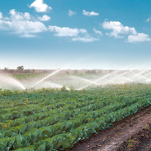 EQ RIEGO AUTOCEBANTE 13.0HP 4X4 - AC4MG1300TH