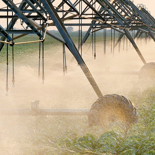 EQ RIEGO AUTOCEBANTE 13.5HP 4X4 - AC4MG1350BS