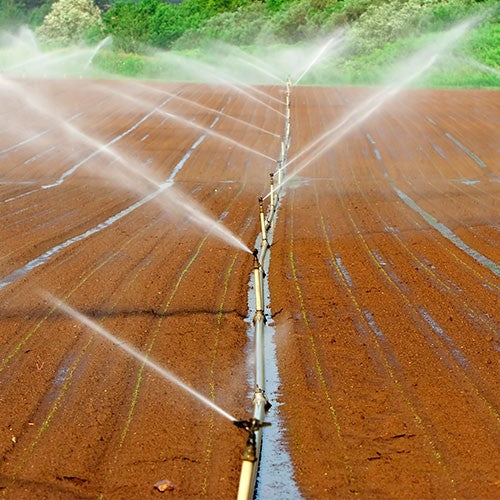 EQ RIEGO CENTRIFUGO 12.0HP 1.5X1.25 - MT1AMD1200THAE