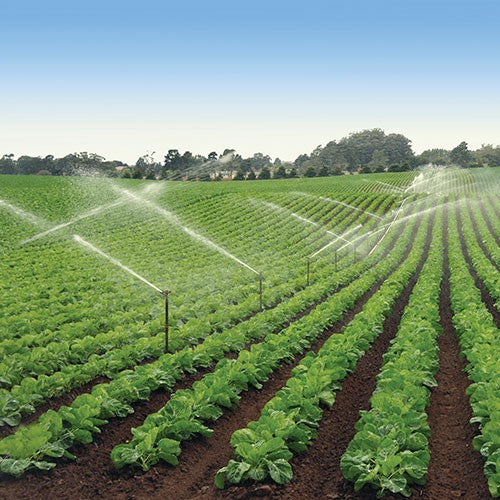 BOMBA INDUSTRIAL ELÉCTRICA TRIFÁSICA 3.0HP 3X3 - MT3ME03004