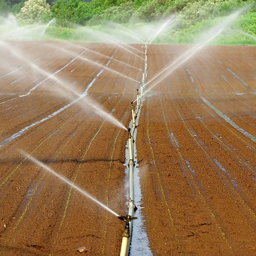 BOMBA INDUSTRIAL ELÉCTRICA TRIFÁSICA 30.0HP 4X4 - MT4AME3000