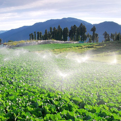 BOMBA INDUSTRIAL ELÉCTRICA TRIFÁSICA 7.5HP 4X4 - MT4ME0750