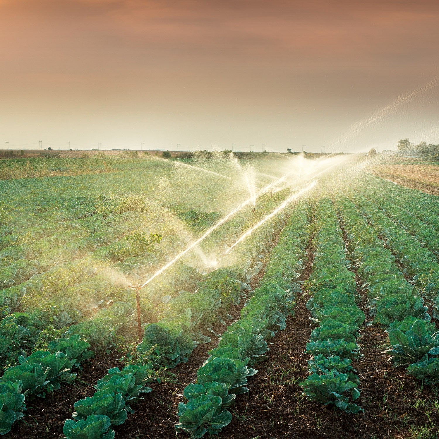 BOMBA DE 4 PÁNELES SOLARES 1.0HP 55LPM - SOLAR100-55L