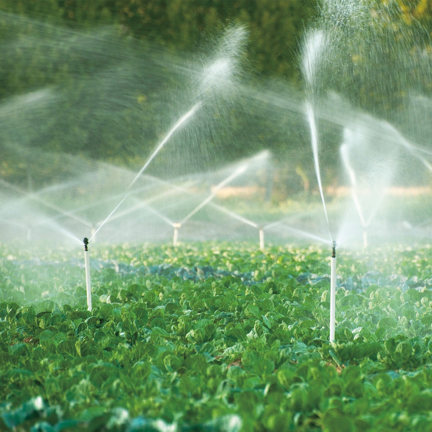 BOMBA DE 5 PÁNELES SOLARES 1.5HP 160LPM - SOLAR150-160L