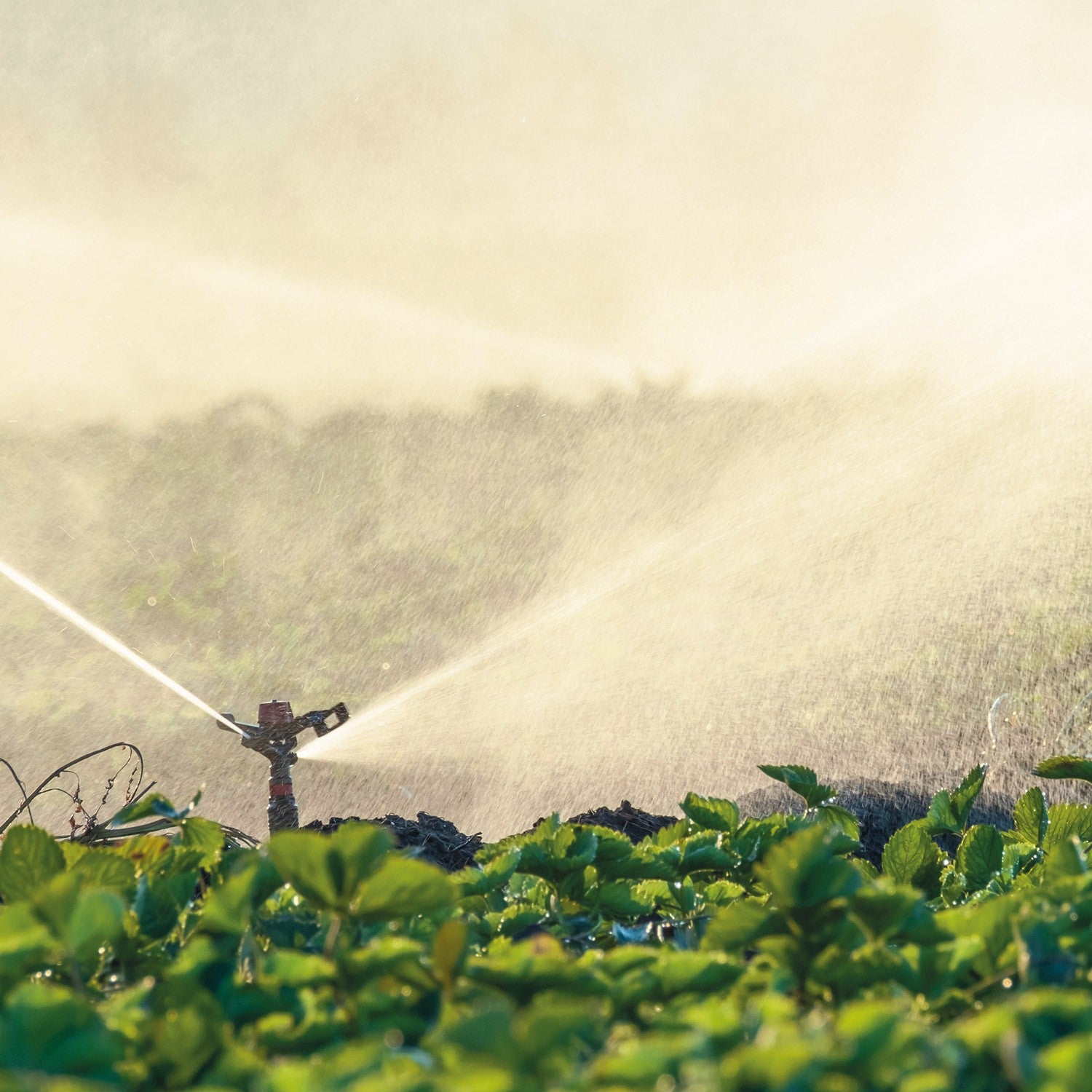 BOMBA DE 5 PÁNELES SOLARES 1.5HP 30LPM - SOLAR150-30L