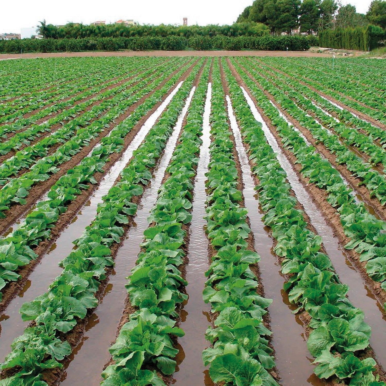 BOMBA DE 7 PÁNELES SOLARES 2.0HP 160LPM  - SOLAR200-160L