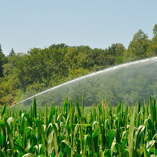 EQUIPO DE RIEGO SOLAR 3/4HP CD - SOLAR-TRIPLEX