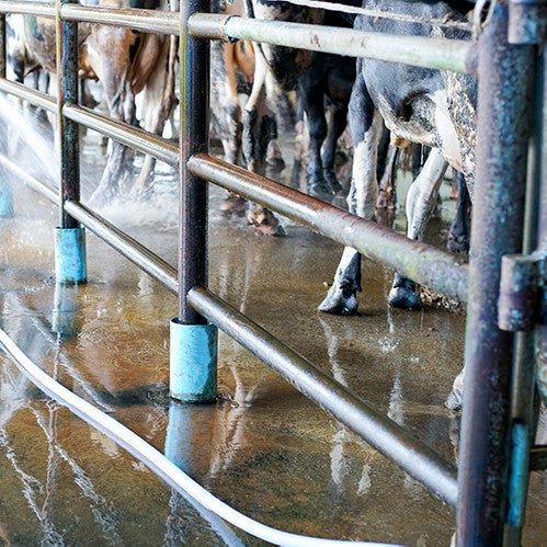 FILTRO ANTI SARRO 45GPM - ANTI-SARRO-45