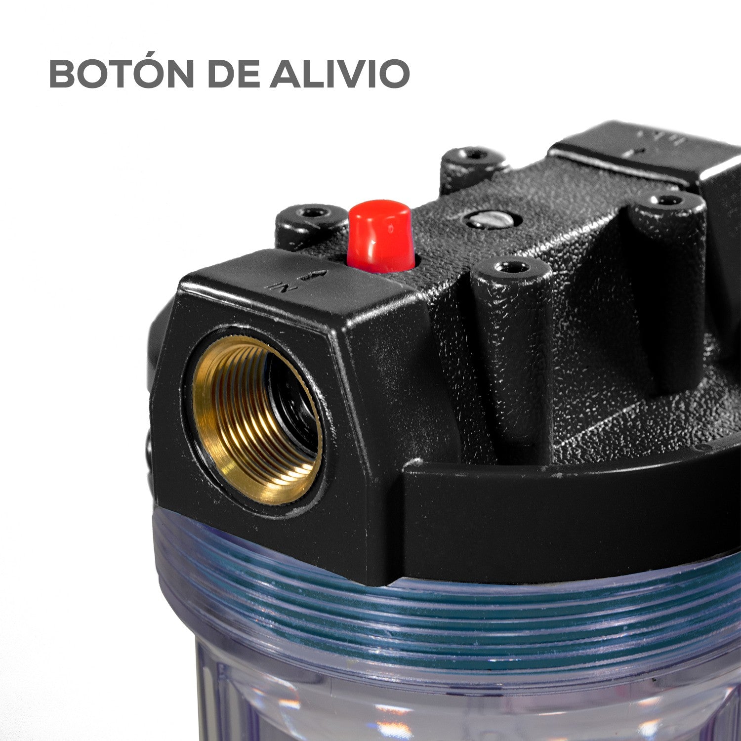 PORTA FILTRO TRANSPARENTE 2.5X10" - TRANSP122-10N