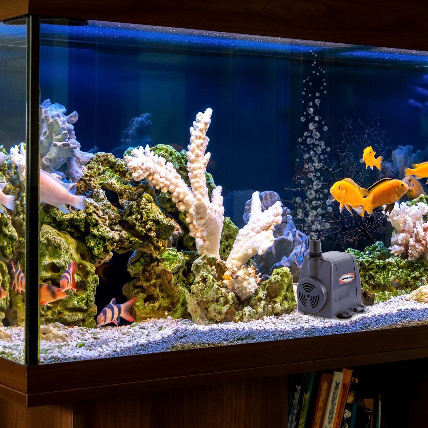 BOMBA FUENTE 29W - AQUA30W