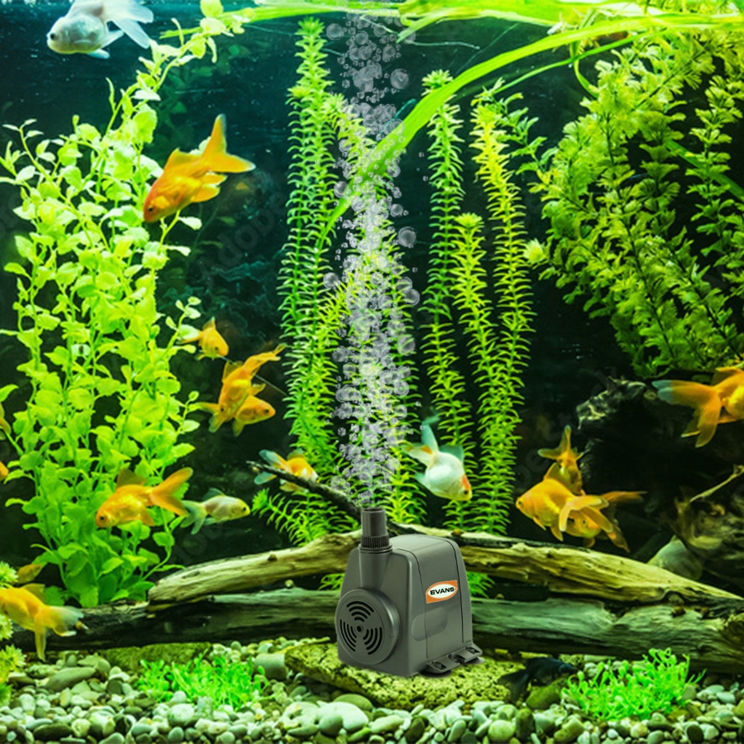 BOMBA FUENTE 45W - AQUA45W