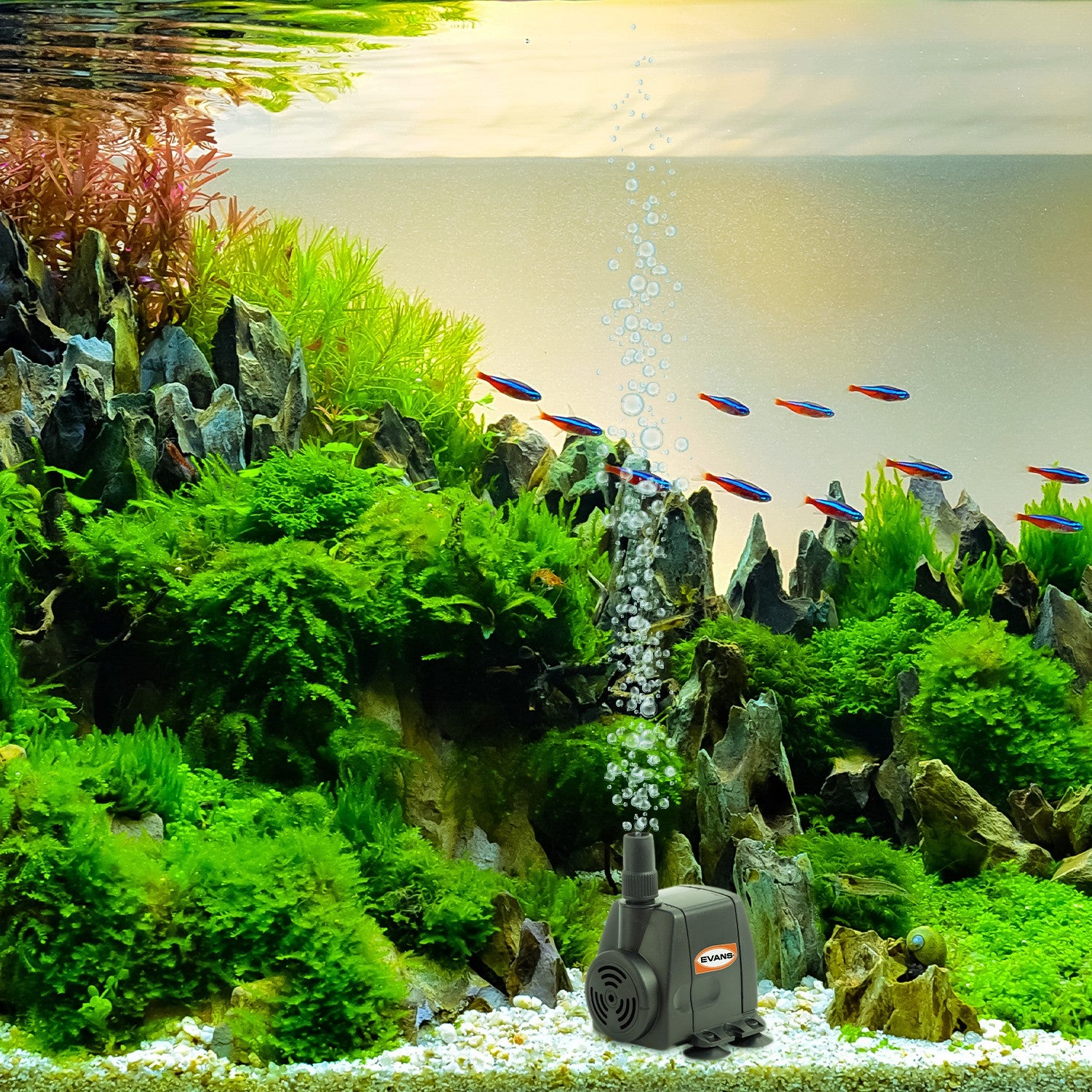 BOMBA FUENTE 8W - AQUA5W