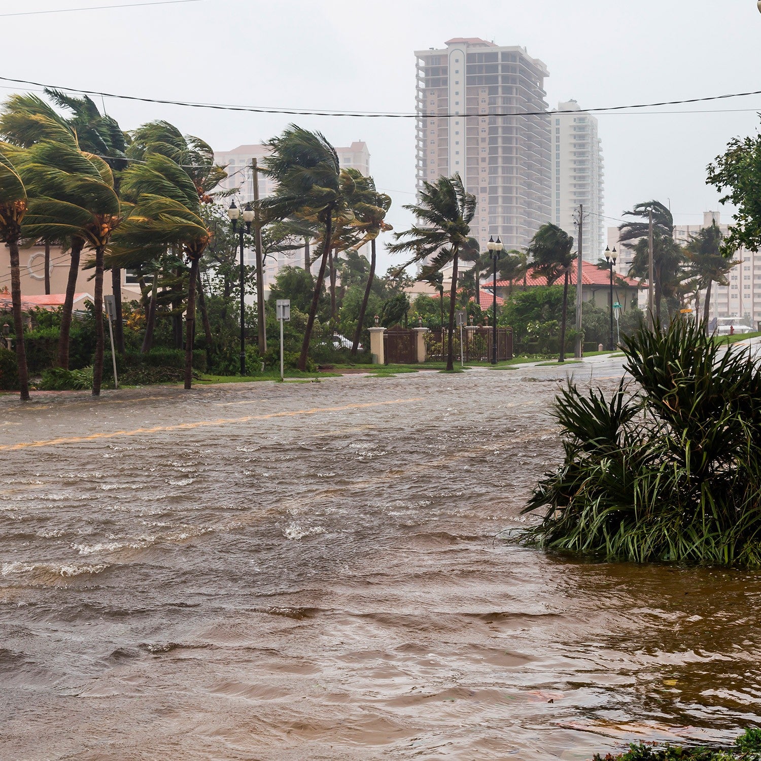 GENERADOR 7.0KVA 13.0HP A/EYM THUNDER - G75MG1300THWAE