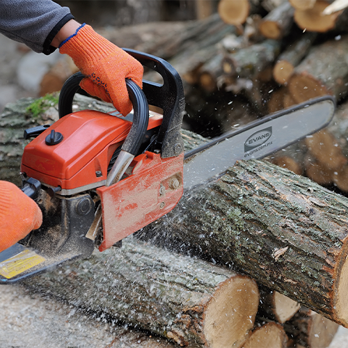 MOTOSIERRA 20" 54CC - MSH20G54