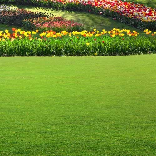 PODADORA RUEDA ALTA 22" - PE22MG0675BSB