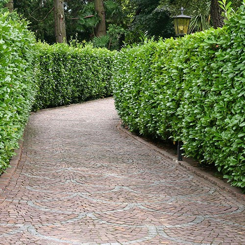 SOPLADORA MOCHILA 200KM/H 52CC - SOM200G52