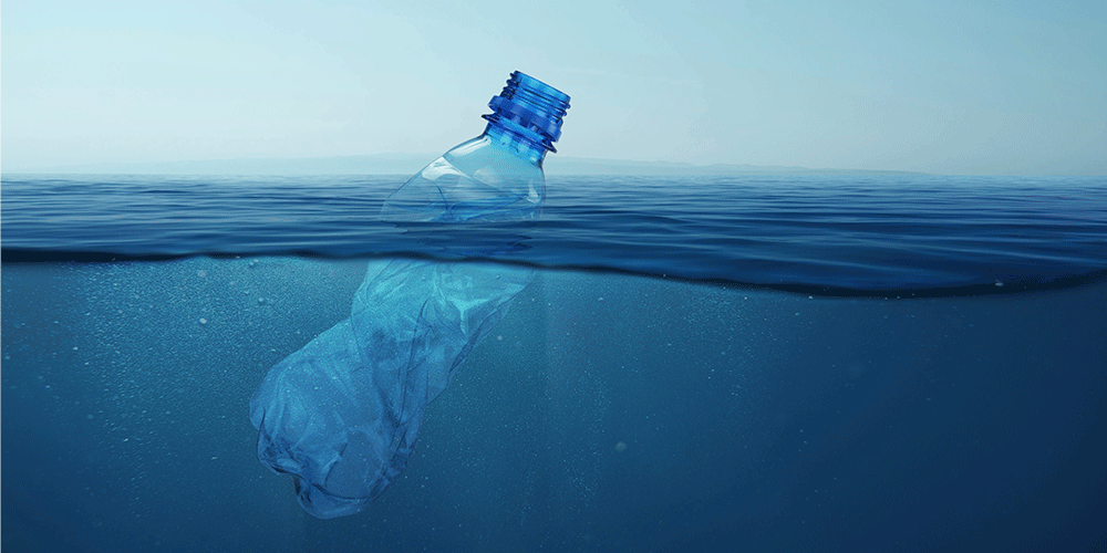 El impacto ambiental de las botellas de agua frente a la purificación en el hogar.