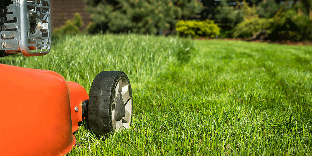 Estacionalidad en la jardinería: Consejos de uso de las podadoras Evans en invierno