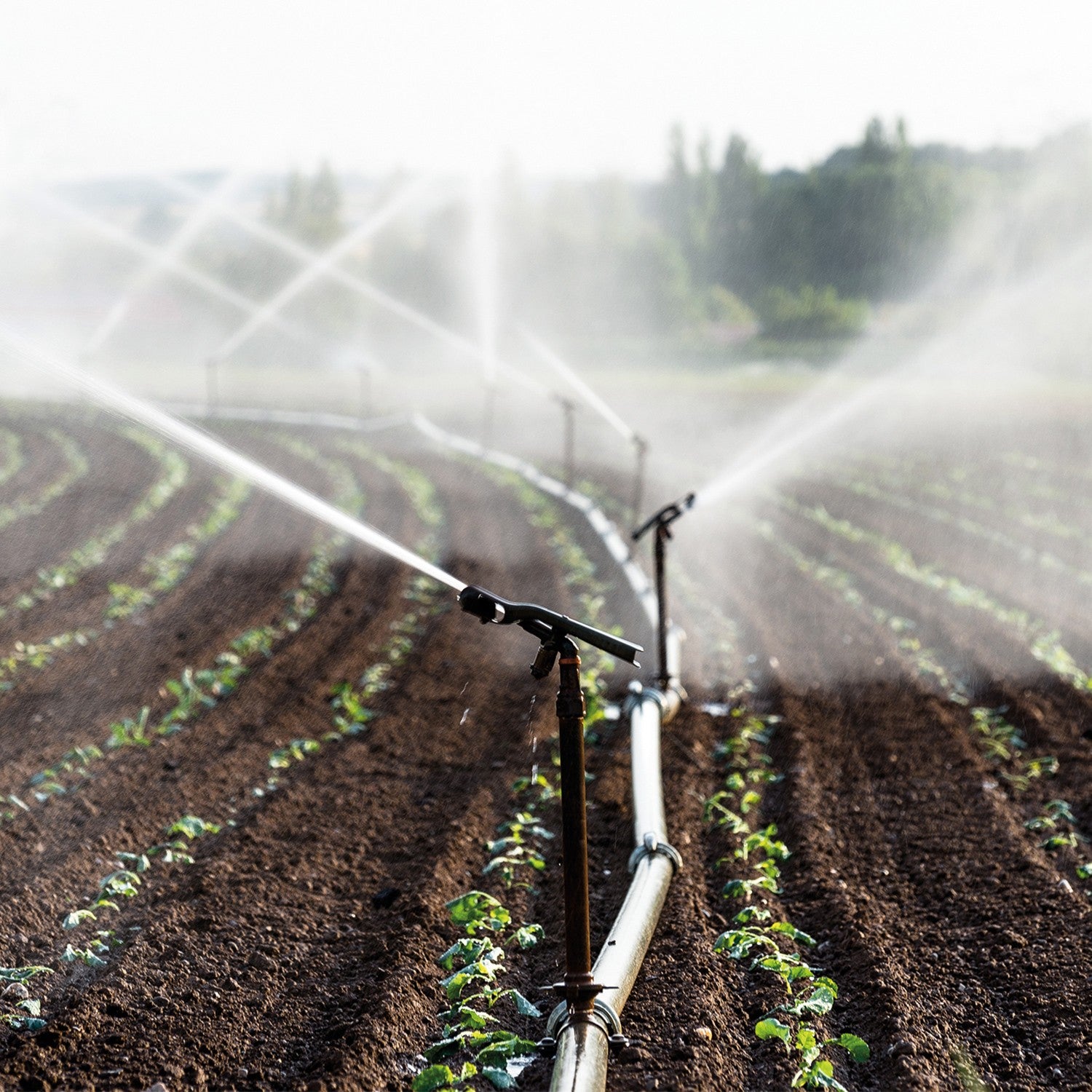 EQUIPO DE RIEGO SUMERGIBLE TRIFÁSICA 16GPM 1.0HP 220V - SD416ME0100G