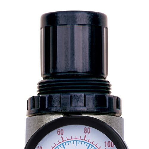 REGULADOR DE FILTRO 1/4" COMPACTO - FRM1/4SPC